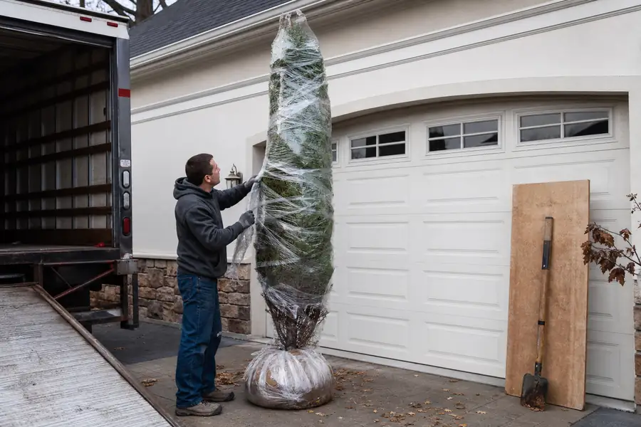 Man unwrapping protective film from a tall delivered tree beside his garage