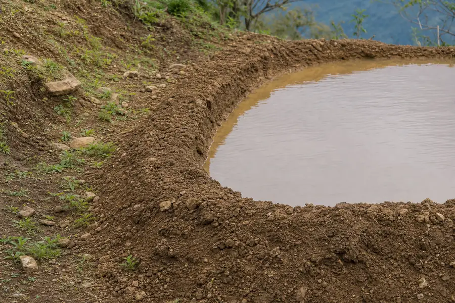 Of a soil berm forming a level watering basin on a hillside
