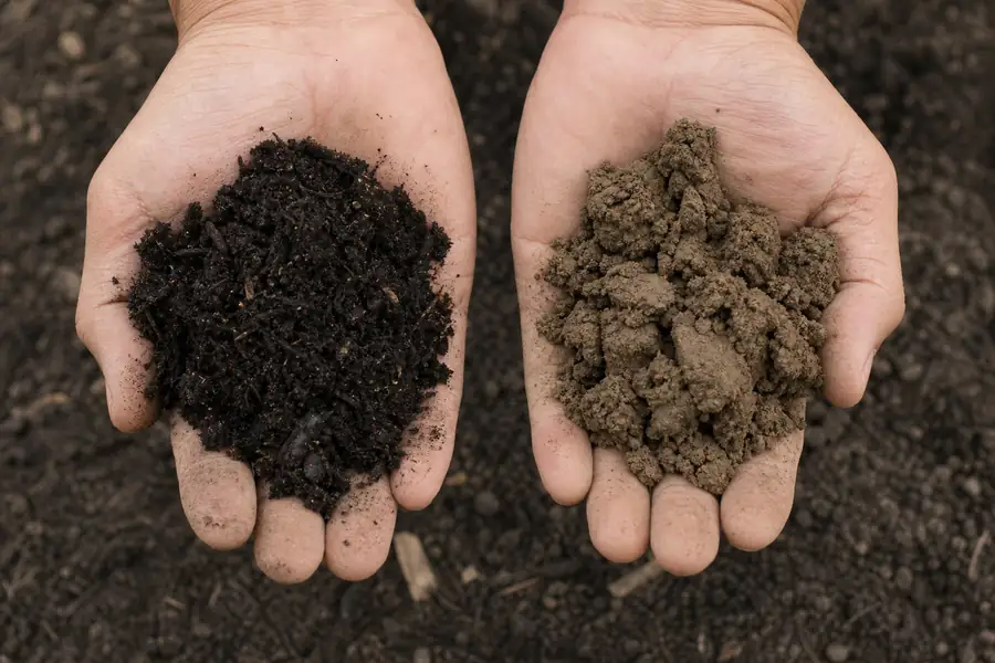 Of dark compost and lighter clay soil held in two open hands