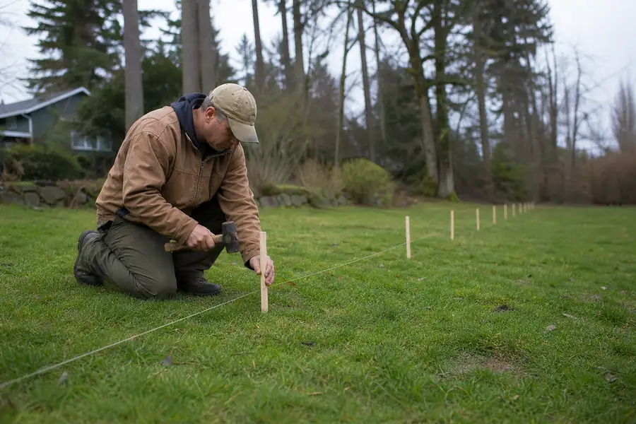 Landscaper placing wooden marker stakes in a lawn for a future tree row
