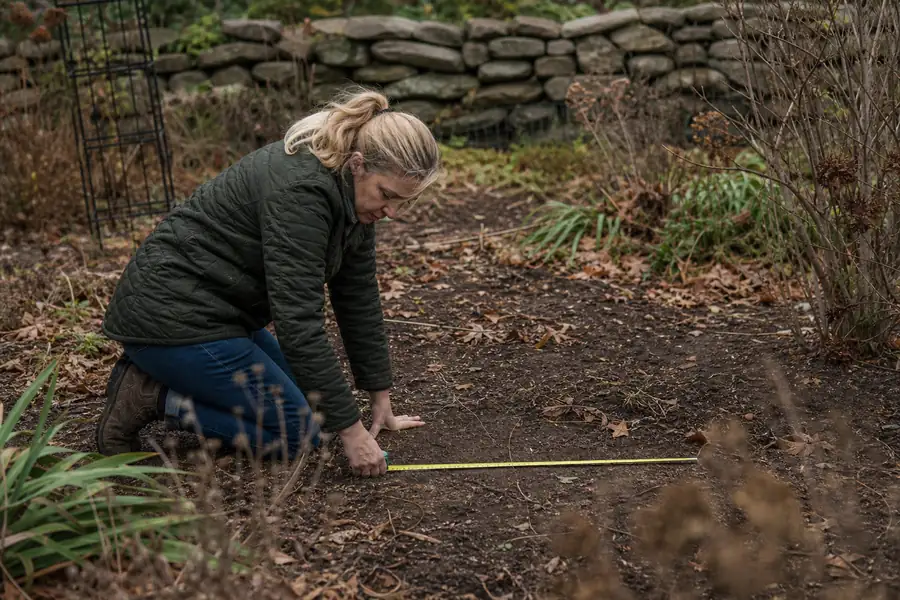 Homeowner kneeling in a bare autumn garden bed measuring a future planting spot